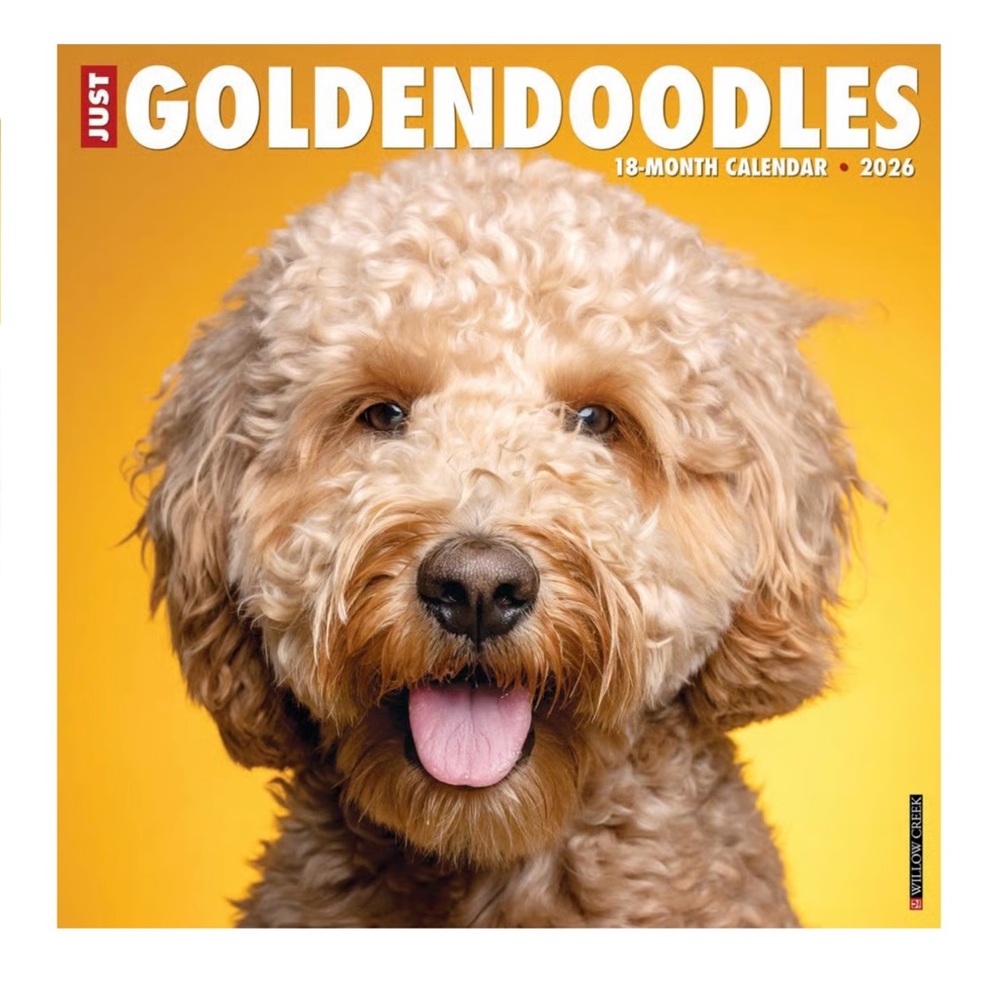 Willow Creek Press 2026 18 Months “Goldendooles” Calendar